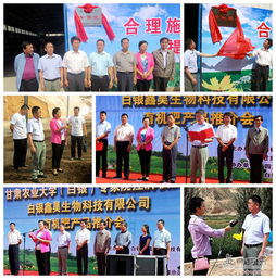 甘肅農(nóng)業(yè)大學(xué)在白銀市設(shè)立有機(jī)肥料專家大院，推動(dòng)生物質(zhì)能技術(shù)綠色升級
